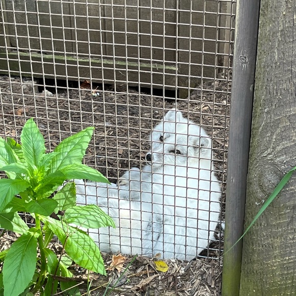 Meet your Posher, Loren - Picture 2 of 3